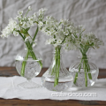 Boda delicada Glass Bud Vase Clear Glass